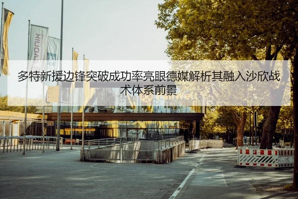 多特新援边锋突破成功率亮眼德媒解析其融入沙欣战术体系前景
