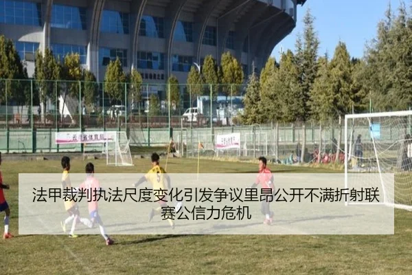 法甲裁判执法尺度变化引发争议里昂公开不满折射联赛公信力危机